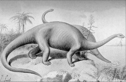 Brontosaurus