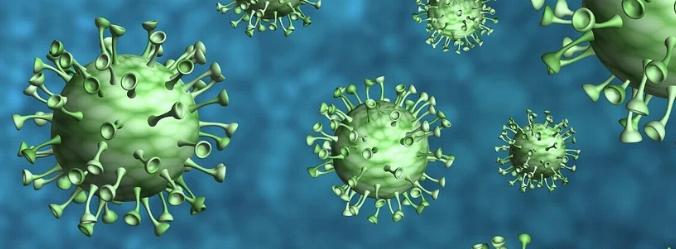 coronavirus